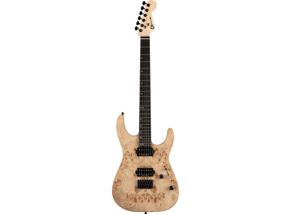Charvel Pro-Mod DK24 HH HT E DS Charvel Pro-Mod DK24 HH HT E DS